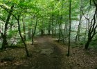 2016 07- D8H6256 : Besök i Växjö, Skåne, Söderåsens Nationalpark